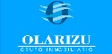 Logo de Grupo Inmobiliario Olarizu