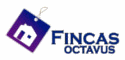 Logo de Fincas Octavus