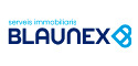Logo de Blaunex