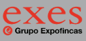 Logo de Exes