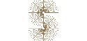 Logo de Southern Development Group