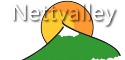 Logo de Nettvalley