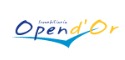 Logo de Open Dor Properties