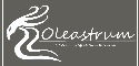 Logo de Oleastrum Gestion Integral Inmobiliaria