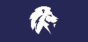 Logo de Lion Capital Group