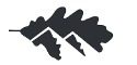Logo de Espai Cerdanya Serveis Immobiliaris