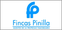 Logo de Fincas Pinilla