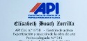Logo de Elisabeth Bosch Zorrilla Api 1758