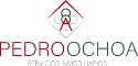Logo de Pedroochoa