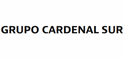 Logo de Grupo Cardenal Sur