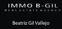 Logo de Immo Bgil