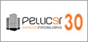 Logo de Pellicer Gestión Inmobiliaria