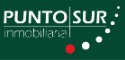 Logo de Puntosur
