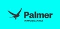 Logo de Palmer Vigo